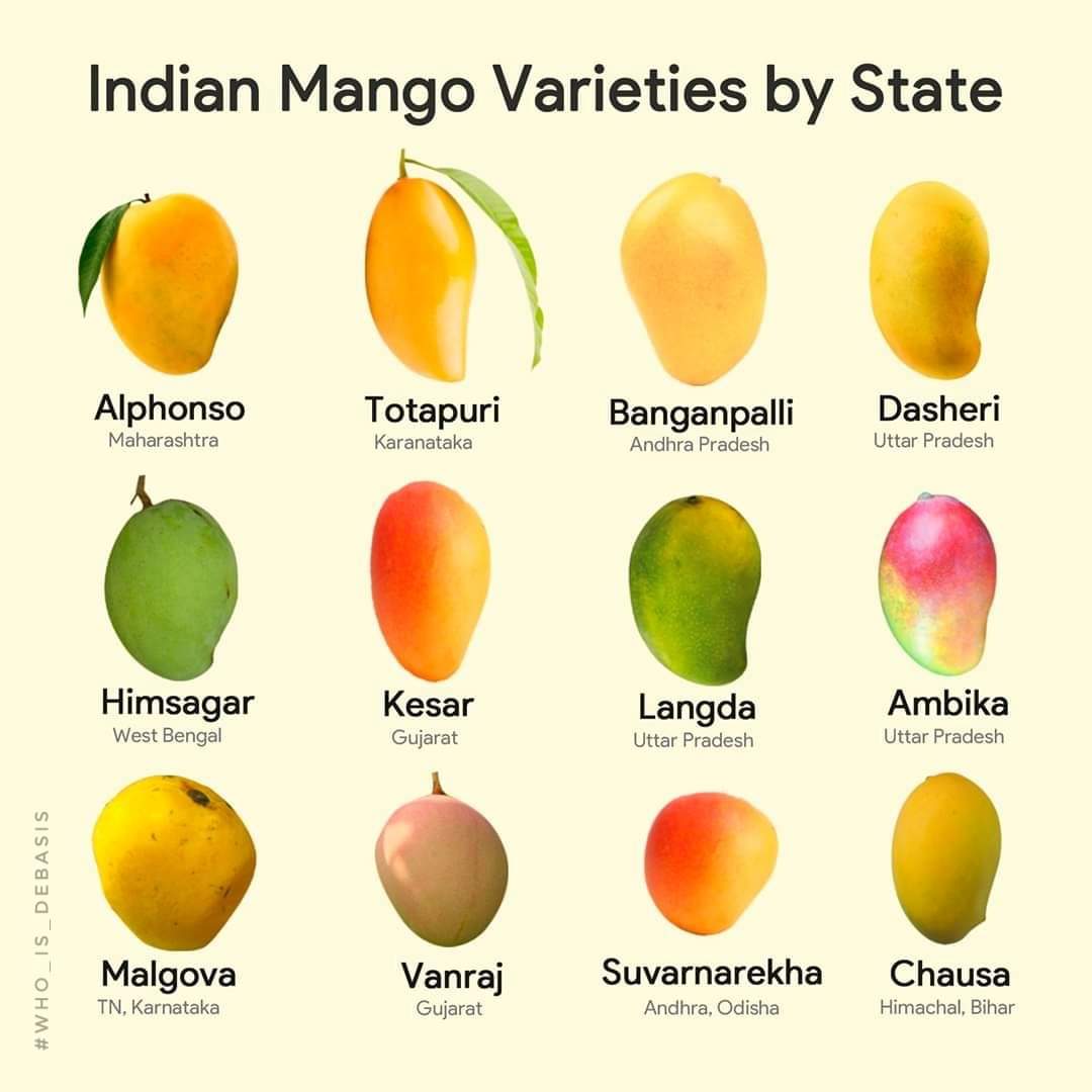 Indian Mango variety by State Latest Duniya